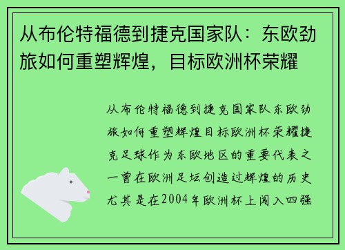 从布伦特福德到捷克国家队：东欧劲旅如何重塑辉煌，目标欧洲杯荣耀