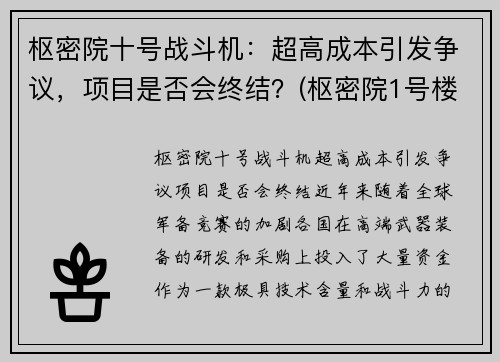 枢密院十号战斗机：超高成本引发争议，项目是否会终结？(枢密院1号楼)