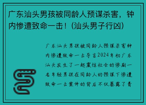 广东汕头男孩被同龄人预谋杀害，钟内惨遭致命一击！(汕头男子行凶)